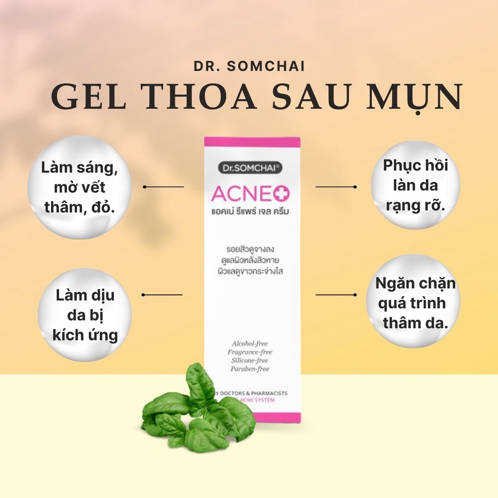 Kem phục hồi da sau mụn DR. SOMCHAI ACNE REPAIR GEL giúp mờ sẹo, vết thâm mụn, ngăn mụn quay trở lại 3g