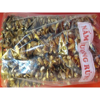 Nấm hương rừng