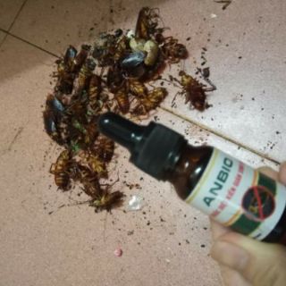 Thuốc diệt kiến, gián sinh học Anbio