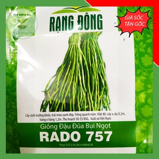 Hạt giống Đậu đũa bụi ngọt trồng quanh năm , phát triển tốt