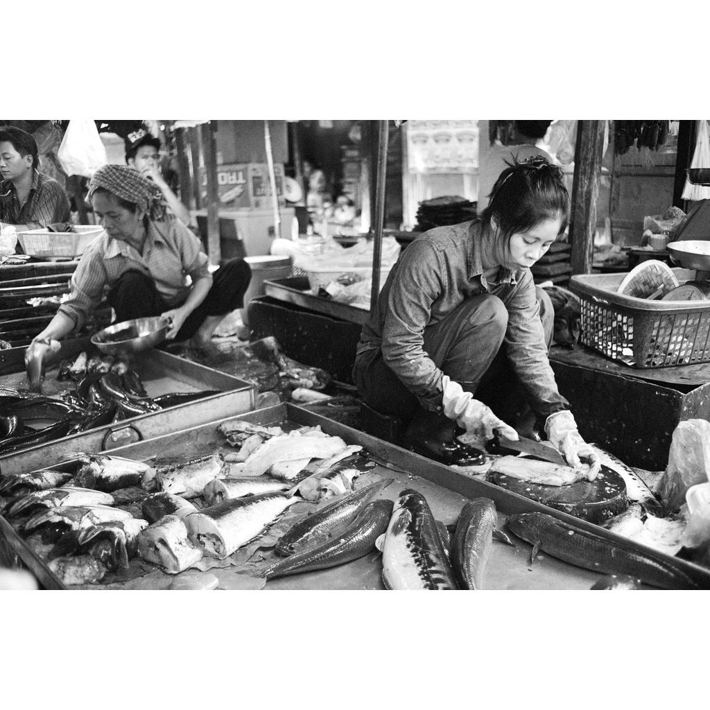 - Film 135  giá rẻ, 24 kiểu, outdate, hàng US