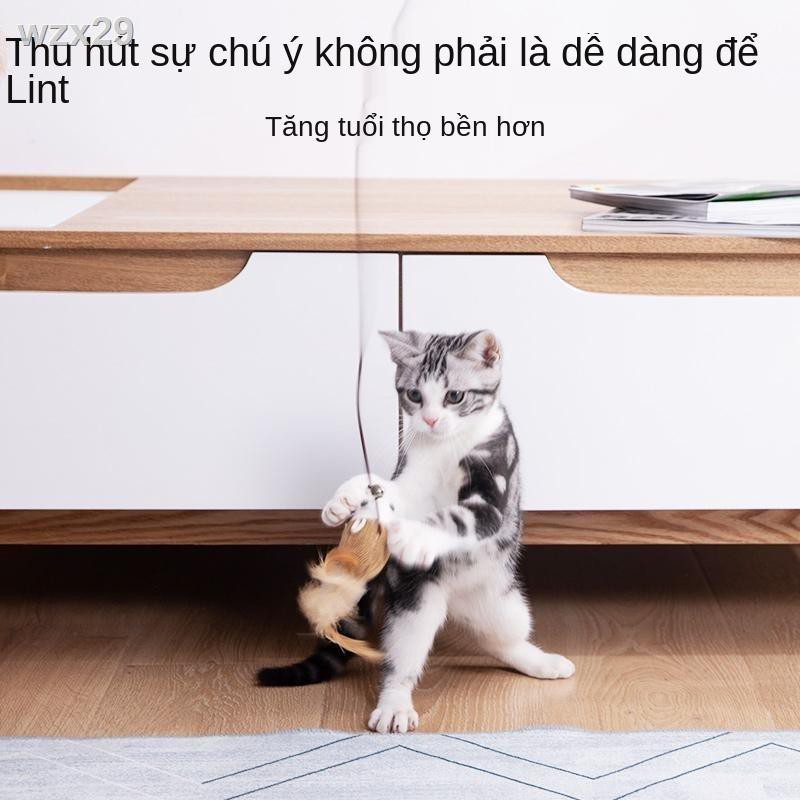 tăng gấp đôi Mèo dính que dài chống cắn con đồ chơi catnip lông chuông chuột tự hey răng hàm vật tư