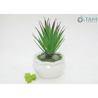 Chậu sen đá giả để bàn số 86 TAN