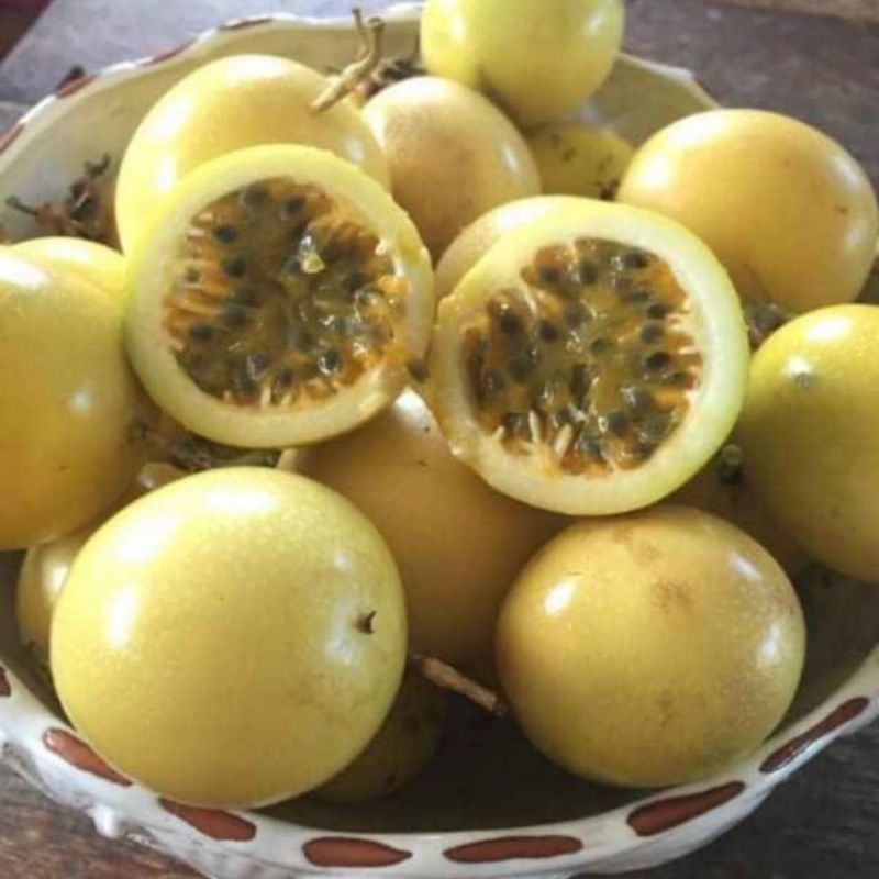 Cây giống chanh leo vàng ngọt