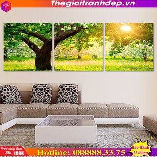 Bộ 3 Tranh Q16-3