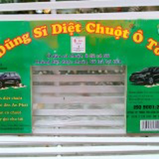 DŨNG SĨ DIỆT CHUỘT Ô TÔ