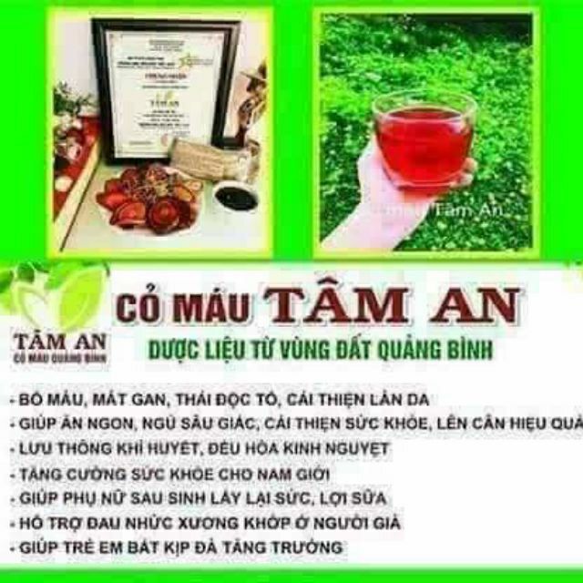 CỎ MÁU TÂM AN(mua nhiều giảm giá)