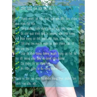 [FREE SHIP] Hoa đậu biếc sấy khô ( 20g -50g -100g)