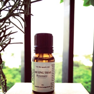 Tinh dầu nguyên chất Hương Thảo/ Rosemary essential oil