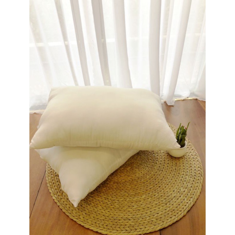 RUỘT GỐI NẰM MUJI, HILTON, OSAKA ( 2 CHIẾC). Cân Nặng 1,6kg