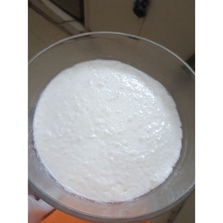 100 gram nấm sữa Kefir