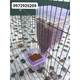 Hộp thức ăn tự động cho chim
