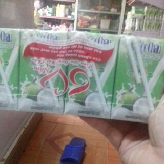[FREESHIP 99K TOÀN QUỐC] Mộc châu trắng và hương dừa