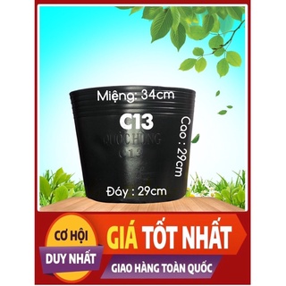 Combo (30) Chậu nhựa trồng cây,trồng hoa,trồng rau C13 giá tại xưởng