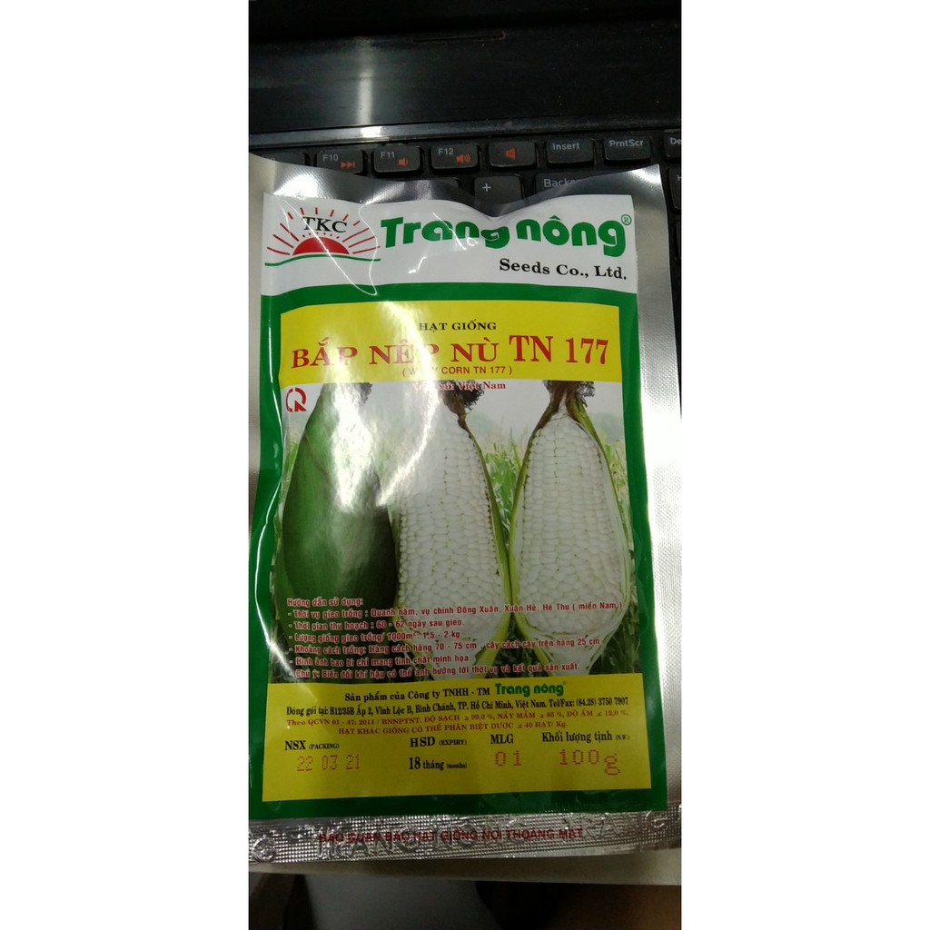 HẠT GIỐNG BẮP NẾP NÙ - GÓI 100 GRAM