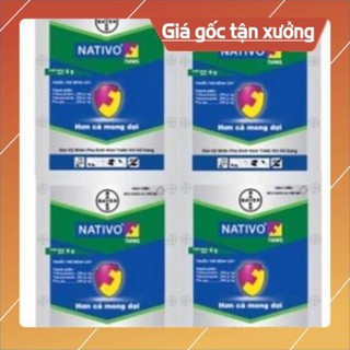 Thuốc trừ bệnh cây trồng NATIVO( đặc trị phấn trắng trên hoa Hồng)
