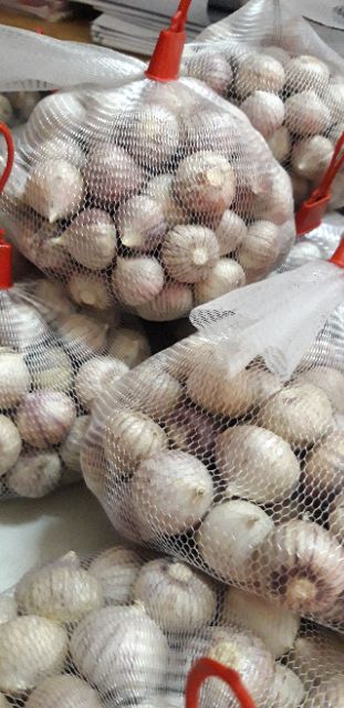 Tỏi cô đơn Phan Rang cỡ trung size 3 làm tỏi đen | BigBuy360 - bigbuy360.vn