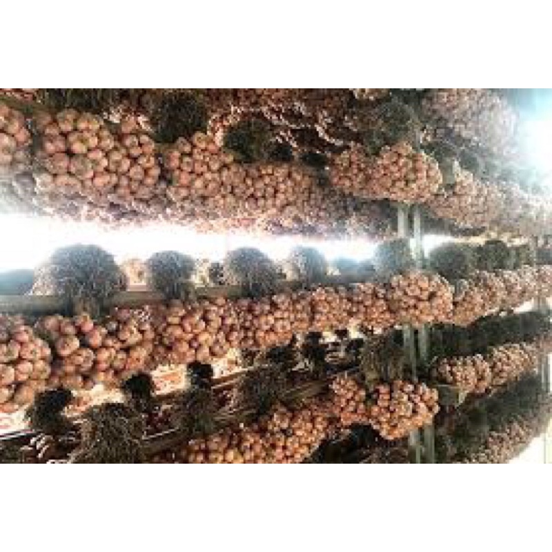 Hành khô Kinh Môn Hải Dương