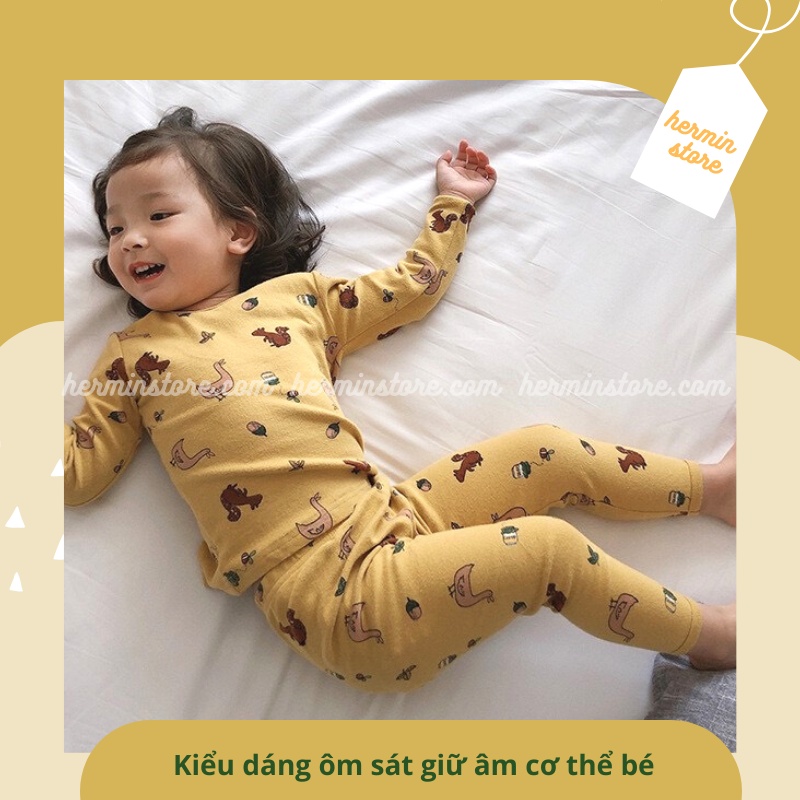 Bộ dài tay cho bé - bộ cotton cho bé giữ nhiệt dày dặn và thấm hút mồ hôi hãng AMBB