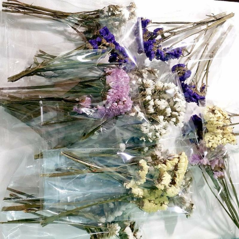 Hoa khô Salem (Statice, lưu ly, olympus) màu tím dùng trong resin, nến, xà phòng, thiệp handmade