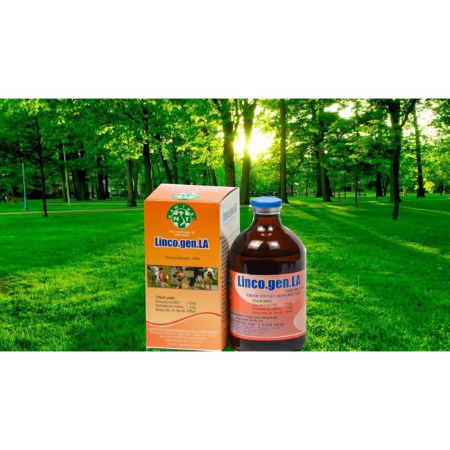 Vitamin licogel năm thái