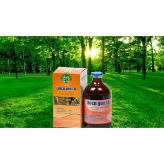 Vitamin licogel năm thái