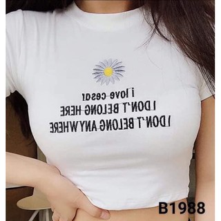 (HS) Áo Croptop Ôm Hoa Cúc Dễ Thương I Dont