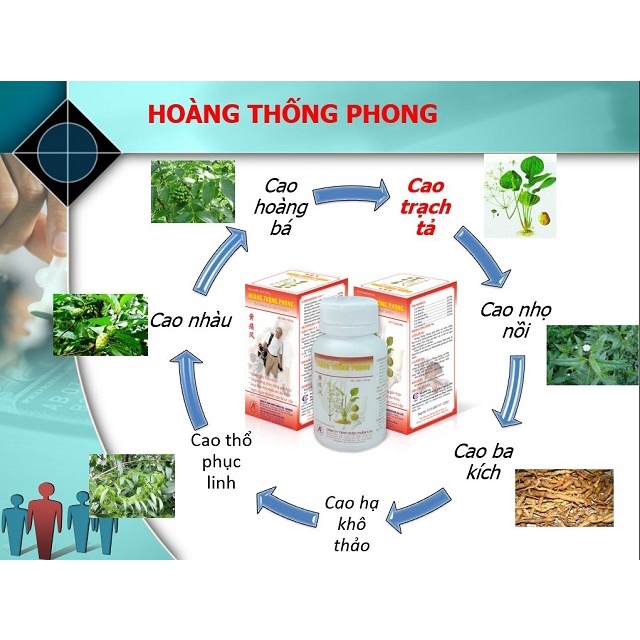 Hoàng Thống Phong - Không Còn Nỗi Lo Gút hộp 60 viên