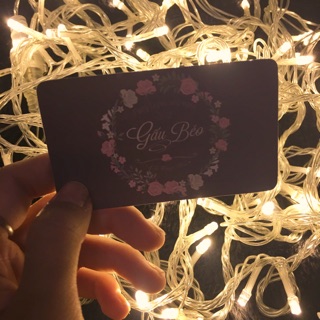 Dây đèn Fairy Light 10 mét bóng đầu đũa cắm điện (loại cao cấp)