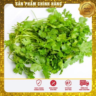 Hạt giống rau mùi tíar ngò rí rau thơm gia vị - 20gr