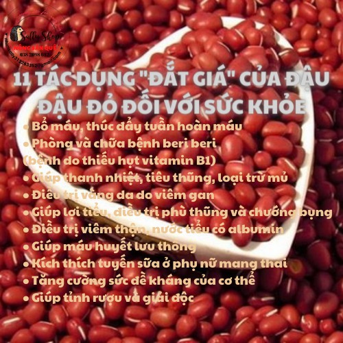 Đậu Đỏ Hạt Nhỏ Hữu Cơ SallyFood 1kg Giống Thuần Chủng - Đỗ Đỏ Tây Organic Sạch Nông Sản Quê