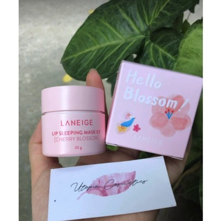Hũ laneige fullsize limited cherry blossom