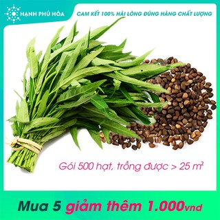 Hạt Giống Rau Muống SGX 500 Hạt (Gieo >25m2)- Tỉ Lệ Nảy Mầm Cao, Lên Đồng Đều, Lá Xanh, Ăn Ngon Ngọt