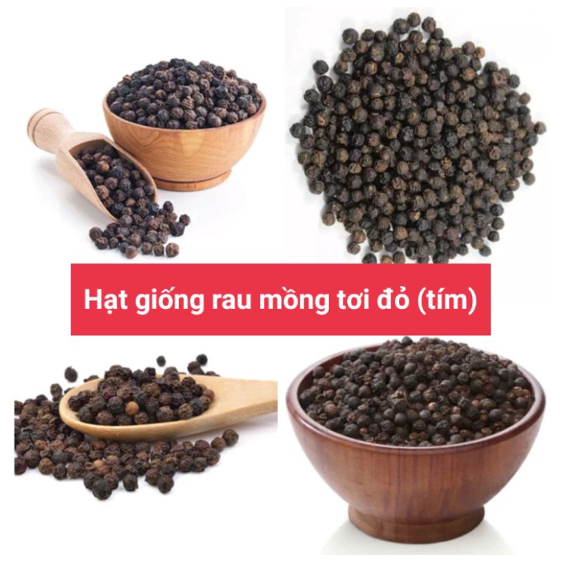 Hạt giống rau mồng tơi đỏ, mồng tơi tím gói 15g