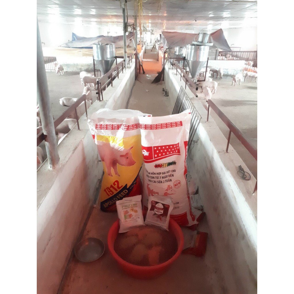 IMMUNEX BASIC - ĐỀ KHÁNG VƯỢT TRỘI  cargill provimi