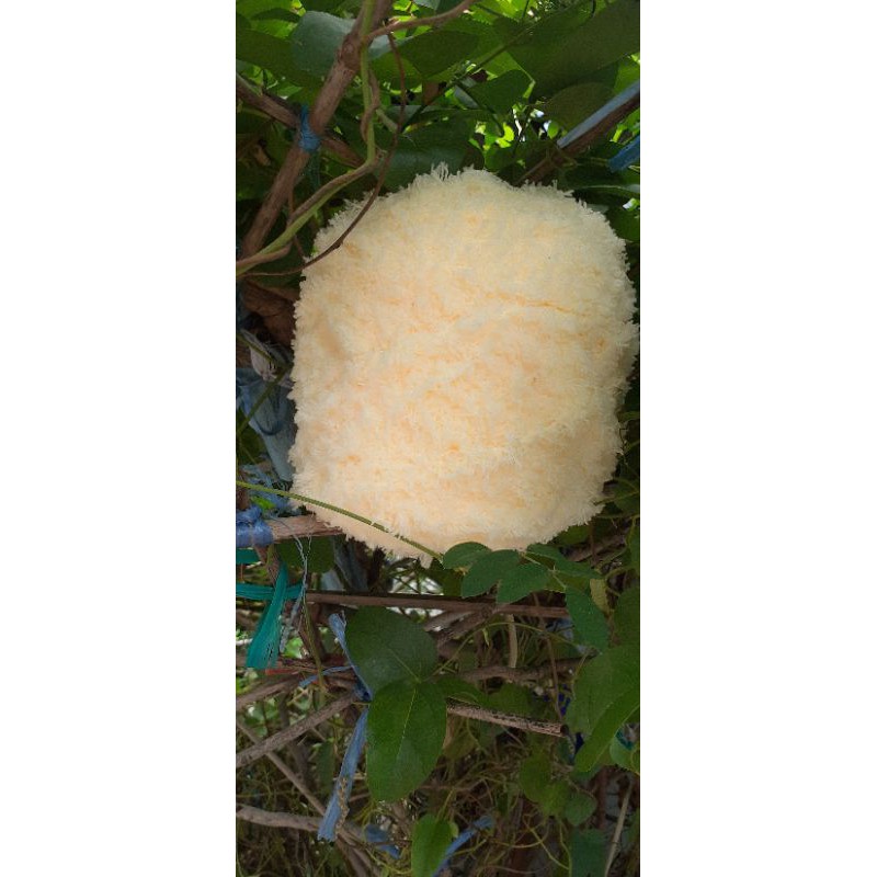 Len xù cuộn 100g