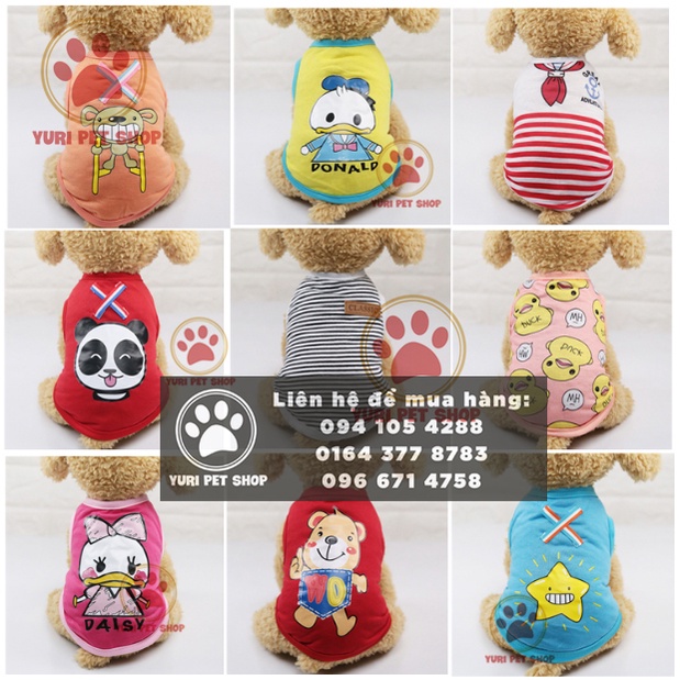 Mẫu áo cute dành cho chó hoặc mèo, kiểu dáng dễ thương cực vui nhộn