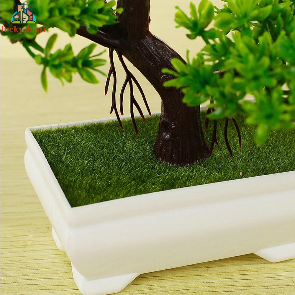 Chậu Cây Thông Giả Bằng Nhựa Để Bàn Trang Trí Nhà Cửa #An#44635#D526c5