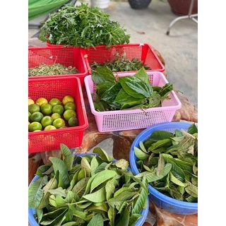 DUNG DỊCH VỆ SINH THẢO DƯỢC SÓC CON
