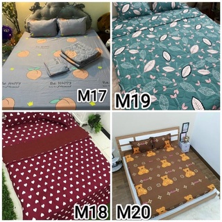Sét 3 món ga và 2 gối Poly Cotton