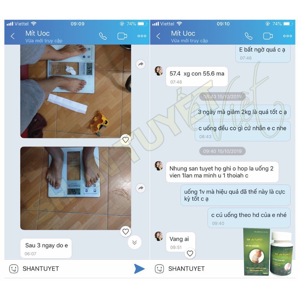 [LT GIẢM 8KG KHÔNG TĂNG LẠI] Shan Tuyết Việt - Nhà Thuốc Viện Dược Liệu Trung Ương | BigBuy360 - bigbuy360.vn