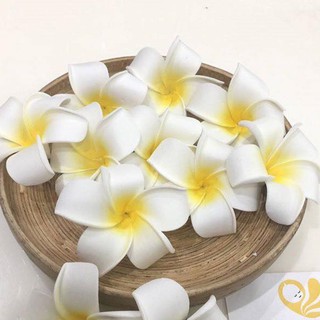 HOA ĐẠI CÀI TÓC SIÊU XINH