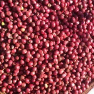 Hạt CÀ PHÊ TƠ NƯNG rang nguyên chất