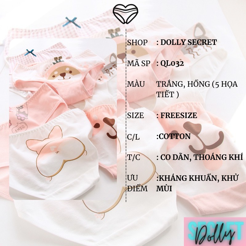 Hộp 5 quần lót cotton 100 đáng yêu học sinh chống hằn lộ viền co giãn bốn chiều cho nữ VANI DOLLY SECRET QL032 | BigBuy360 - bigbuy360.vn