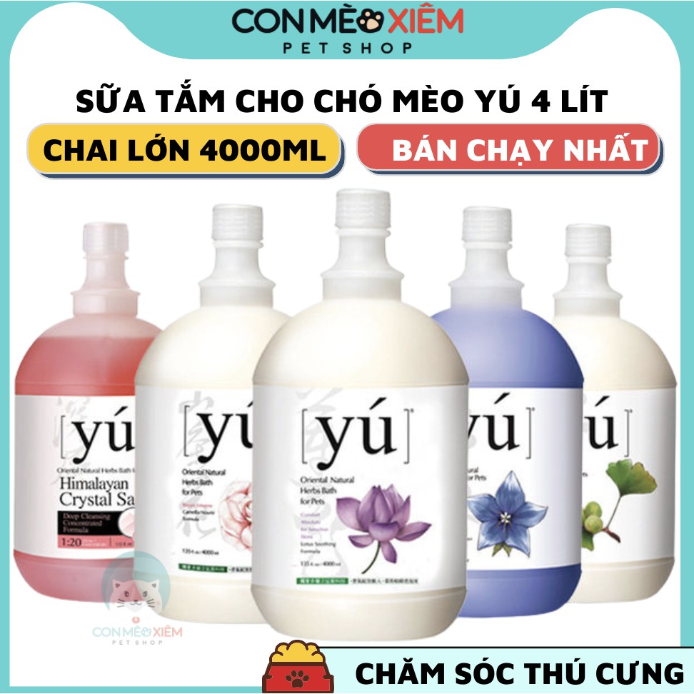 Sữa tắm chó mèo Yú Spa 4L 4000ml, xà phòng tắm dầu gội chuyên cho spa grooming thú cưng Con Mèo Xiêm