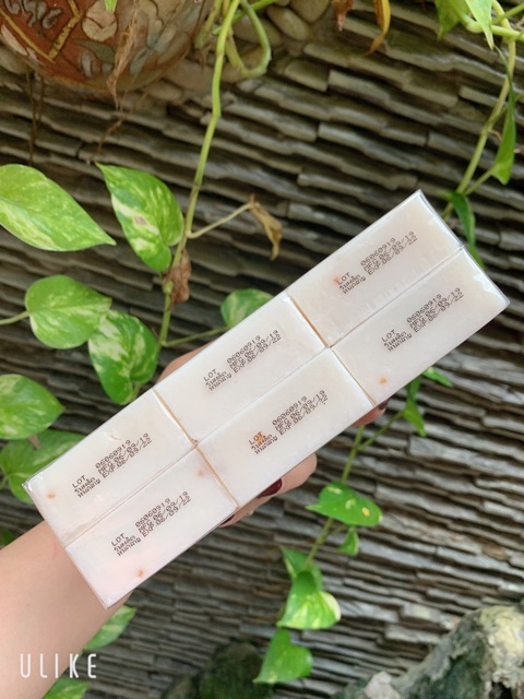 COMBO 1 lốc 12c | BigBuy360 - bigbuy360.vn