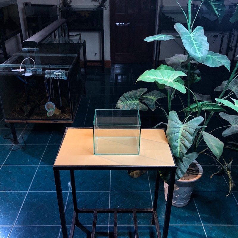 Bể cá mini D20xR15xC15cm dán dấu keo