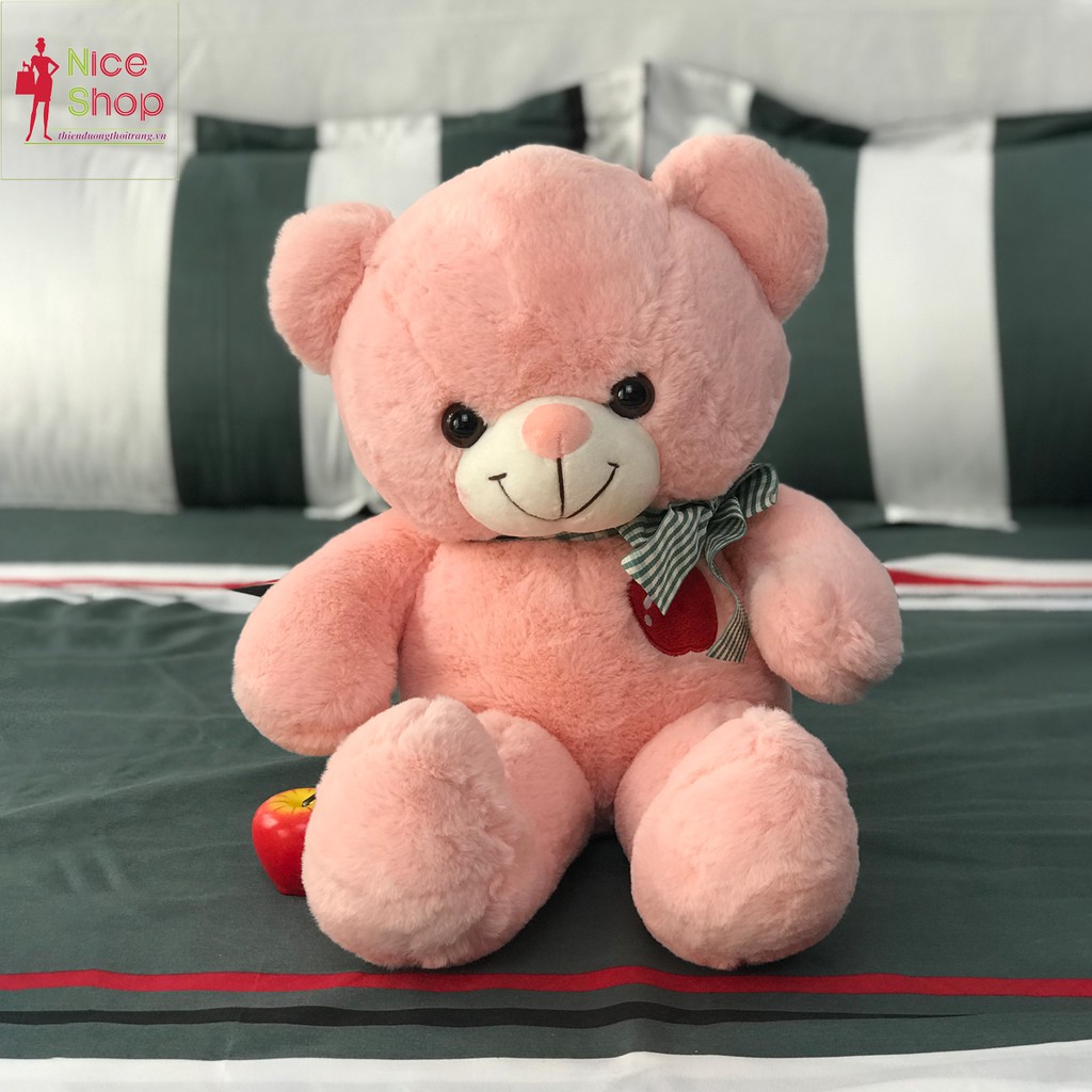 Gấu bông ôm teddy siêu đáng yêu nhiều màu dùng để cho bé ôm trang trí trong nhà - OT0700