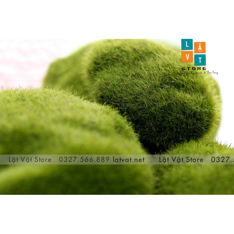 Mô Hình Đá Rêu Phong Micro Dùng Để Trang Trí Vi Tiểu Cảnh, Trang Trí Phong Cảnh - Đơn Giản Chân Thật Giá Rẻ Bất Ngờ