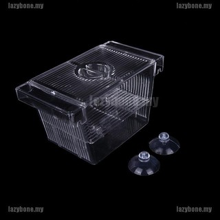 Lồng Ấp Trứng Cá Cách Ly Cho Bể Cá
